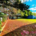 9 Frawley St, Warren, NSW 2824 Australia